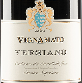 [01P] P01 Verdicchio Dei Castelli Di Jesi Classico 2024, Azienda Vignamato  - per 12 à € 9,5